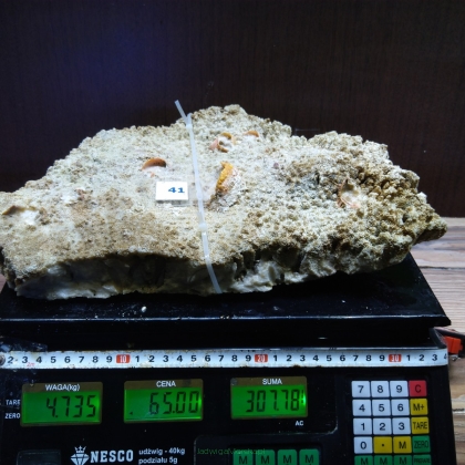 Żywa skała 4.735 kg (78 pln/kg) nr 41