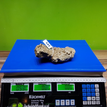 Żywa skała 0.53 kg (65 pln/kg) nr 142
