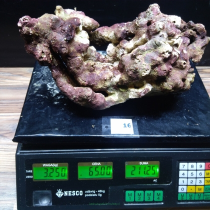 Żywa skała 3.25 kg (65 pln/kg) nr 16