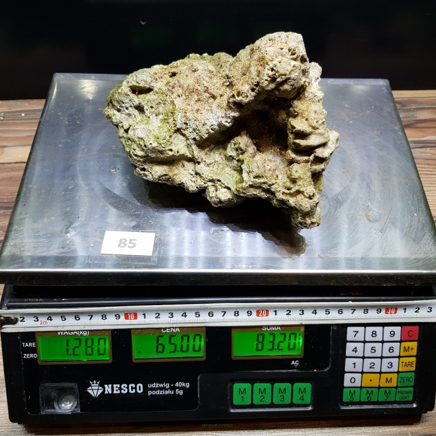 Żywa skała 1.28 kg (65 pln/kg) nr 85