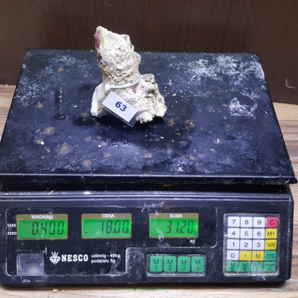 Żywa skała 0.4 kg (78 pln/kg) nr 63