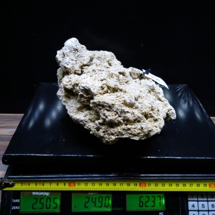 Sucha skała premium 2.505 kg (24.90 pln/kg) nr J130 INDONEZJA