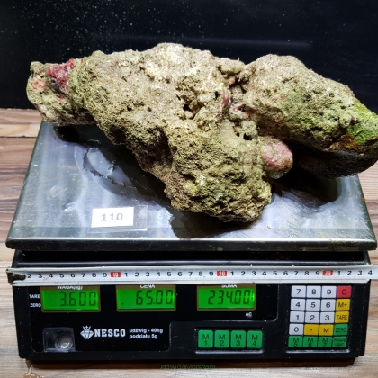 Żywa skała 3.6 kg (65 pln/kg) nr 110