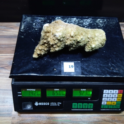 Żywa skała 1.42 kg (65 pln/kg) nr 19