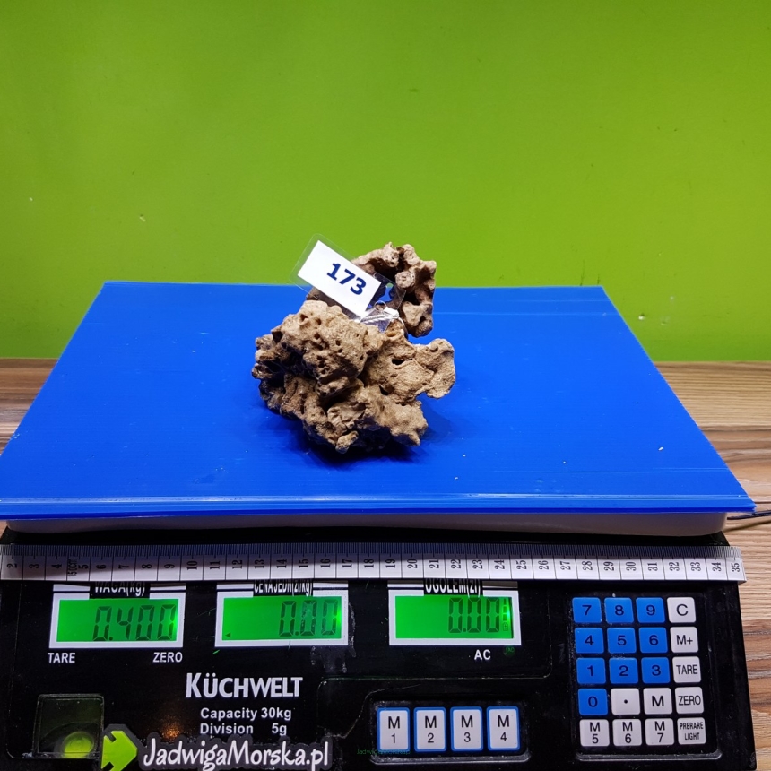 Żywa skała 0.4 kg (65 pln/kg) nr 173