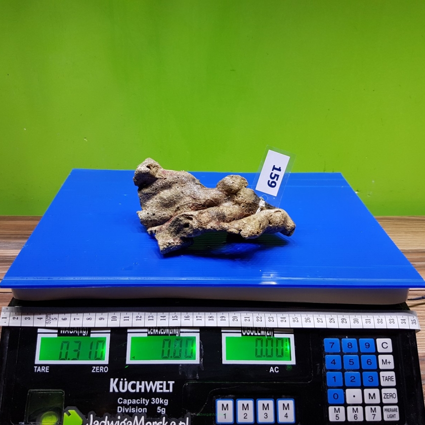 Żywa skała 0.31 kg (65 pln/kg) nr 159
