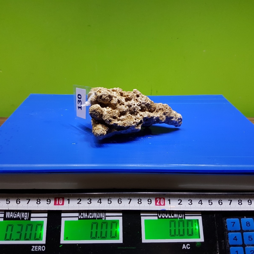 Żywa skała 0.3 kg (65 pln/kg) nr 130