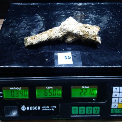 Żywa skała 0.34 kg (65 pln/kg) nr 15