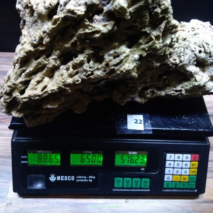 Żywa skała 8.865 kg (78 pln/kg) nr 22