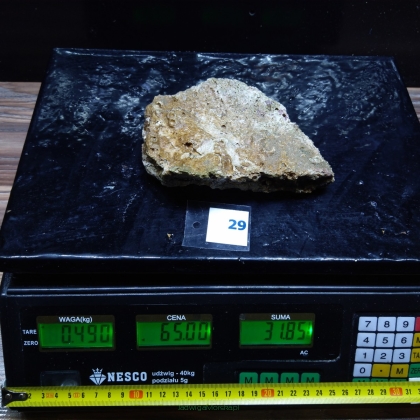 Żywa skała 0.49 kg (65 pln/kg) nr 29