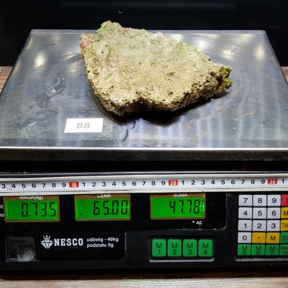 Żywa skała 0.735 kg (65 pln/kg) nr 88