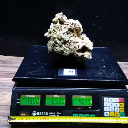 Żywa skała 1.39 kg (65 pln/kg) nr 64