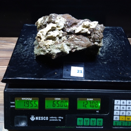 Żywa skała 1.955 kg (65 pln/kg) nr 21