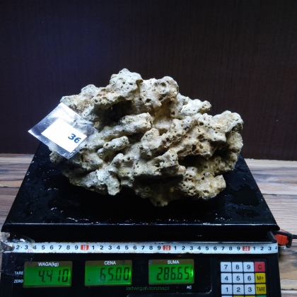 Żywa skała 4.41 kg (78 pln/kg) nr 36