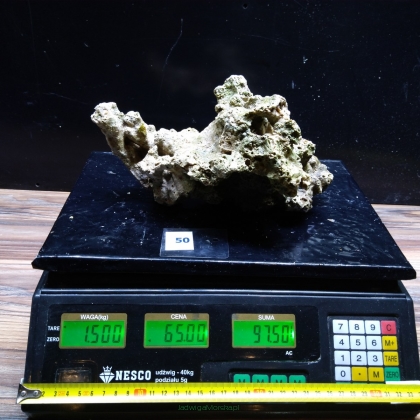 Żywa skała 1.5 kg (65 pln/kg) nr 50