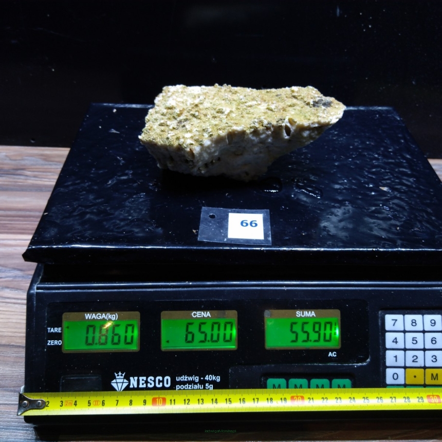 Żywa skała 0.86 kg (65 pln/kg) nr 66