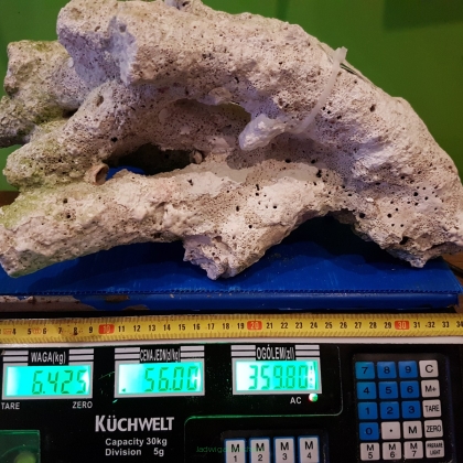 Sucha skała 6,425 kg (56 pln/kg) NR 4 FIJI BRANCH WALTSMITH