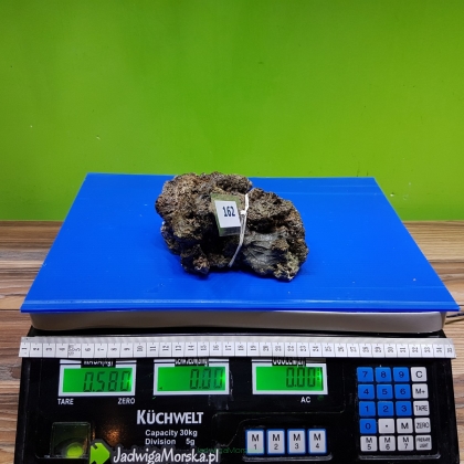 Żywa skała 0.58 kg (65 pln/kg) nr 162