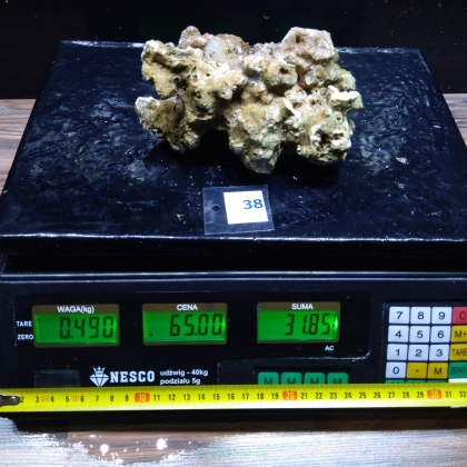 Żywa skała 0.49 kg (65 pln/kg) nr 38