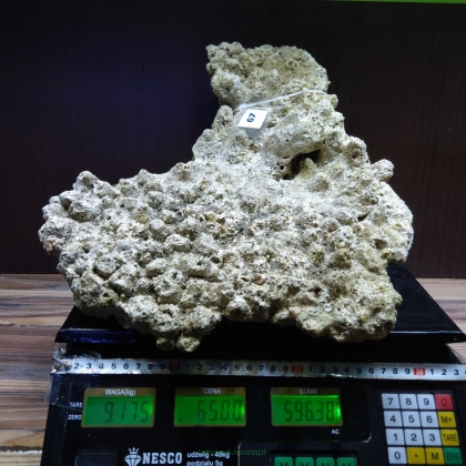 Żywa skała 9.175 kg (78 pln/kg) nr 67
