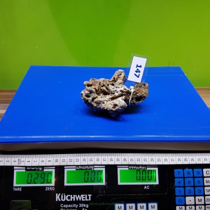 Żywa skała 0.29 kg (65 pln/kg) nr 147