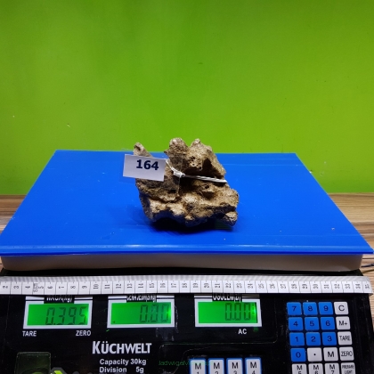 Żywa skała 0.395 kg (65 pln/kg) nr 164