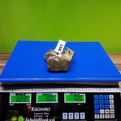 Żywa skała 0.295 kg (65 pln/kg) nr 158