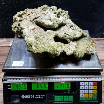 Żywa skała 4.575 kg (65 pln/kg) nr 111