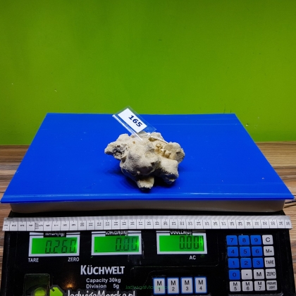 Żywa skała 0.26 kg (65 pln/kg) nr 165