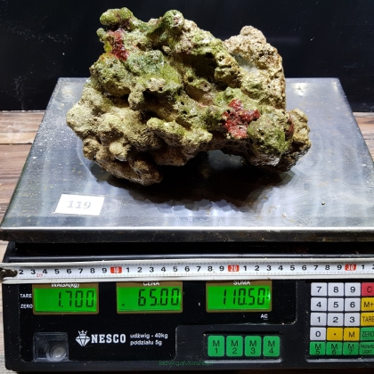 Żywa skała 1.7 kg (65 pln/kg) nr 119