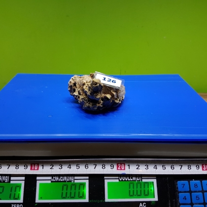 Żywa skała 0.21 kg (65 pln/kg) nr 126