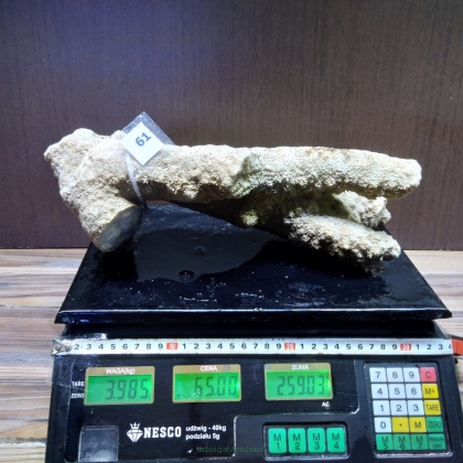 Żywa skała 3.985 kg (78 pln/kg) nr 61