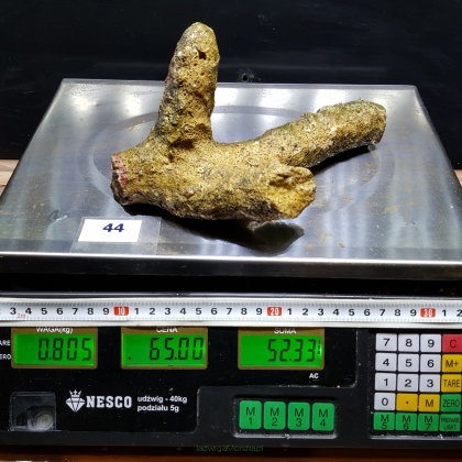 Żywa skała 0.805 kg (65 pln/kg) nr 44A