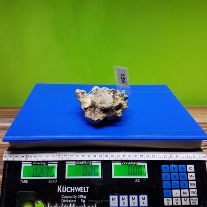 Żywa skała 0.275 kg (65 pln/kg) nr 156