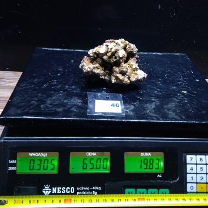 Żywa skała 0.305 kg (65 pln/kg) nr 40