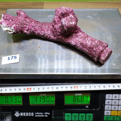Ekologiczna skała Real reef rock BRANCH 0.73 kg (119 pln/kg) nr 175 (Dobra Cena Bez Rabatu)