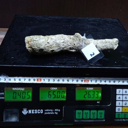 Żywa skała 0.405 kg (65 pln/kg) nr 2