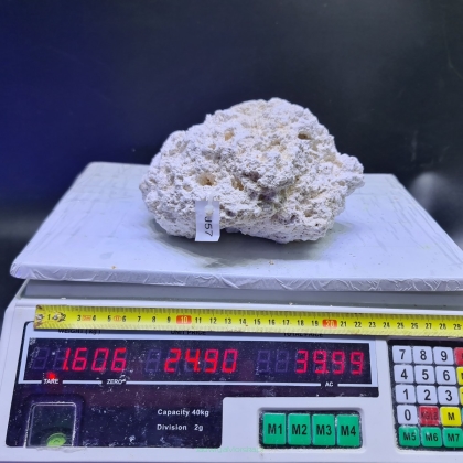 Sucha skała premium 1.606 kg (24.90 pln/kg) nr J57 INDONEZJA