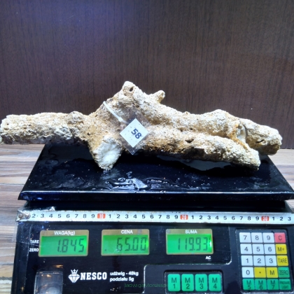 Żywa skała 1.845 kg (78 pln/kg) nr 58