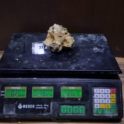 Żywa skała 0.26 kg (78 pln/kg) nr 31