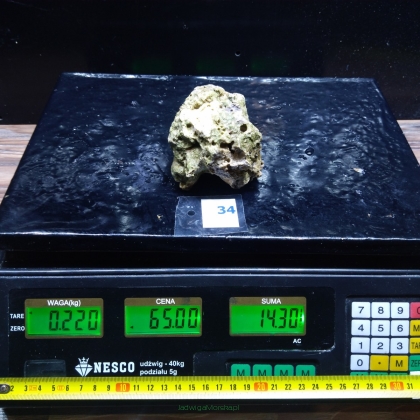 Żywa skała 0.22 kg (65 pln/kg) nr 34