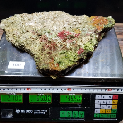 Żywa skała 2.1 kg (65 pln/kg) nr 100
